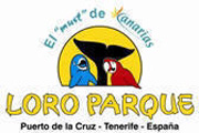 Loro Parque in Tenerife